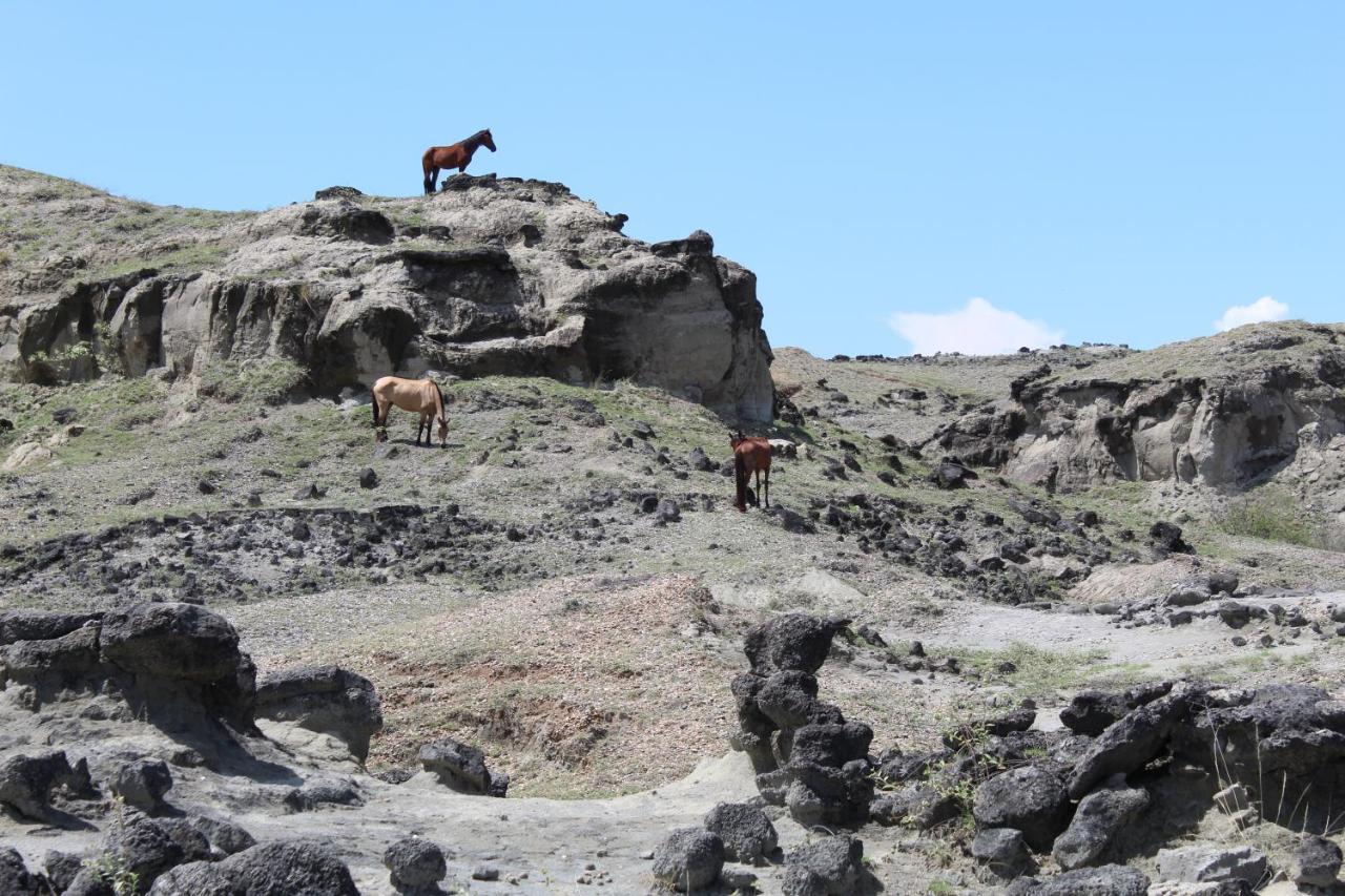 Pachingo Tatacoa Desert La Victoria  Extérieur photo